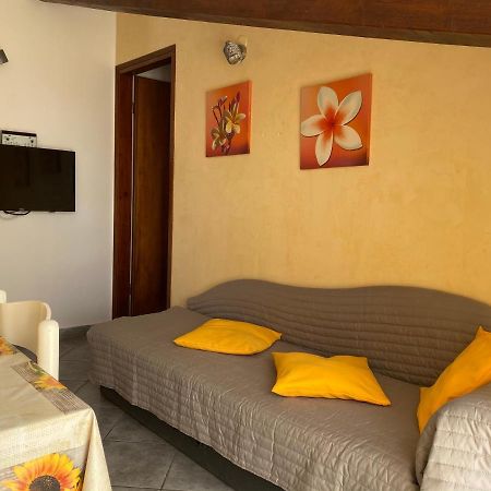 Apartments Tajana Novigrad Istria Exterior foto