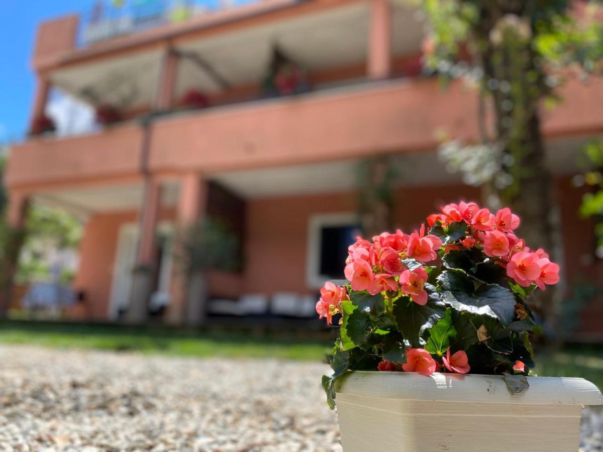 Apartments Tajana Novigrad Istria Exterior foto