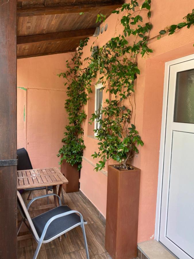 Apartments Tajana Novigrad Istria Exterior foto