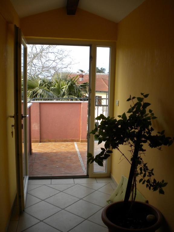 Apartments Tajana Novigrad Istria Zimmer foto